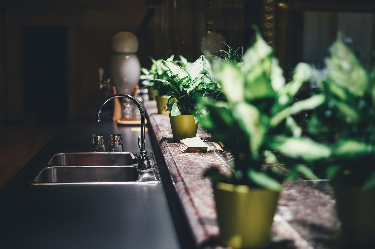 kitchen with indoor plants